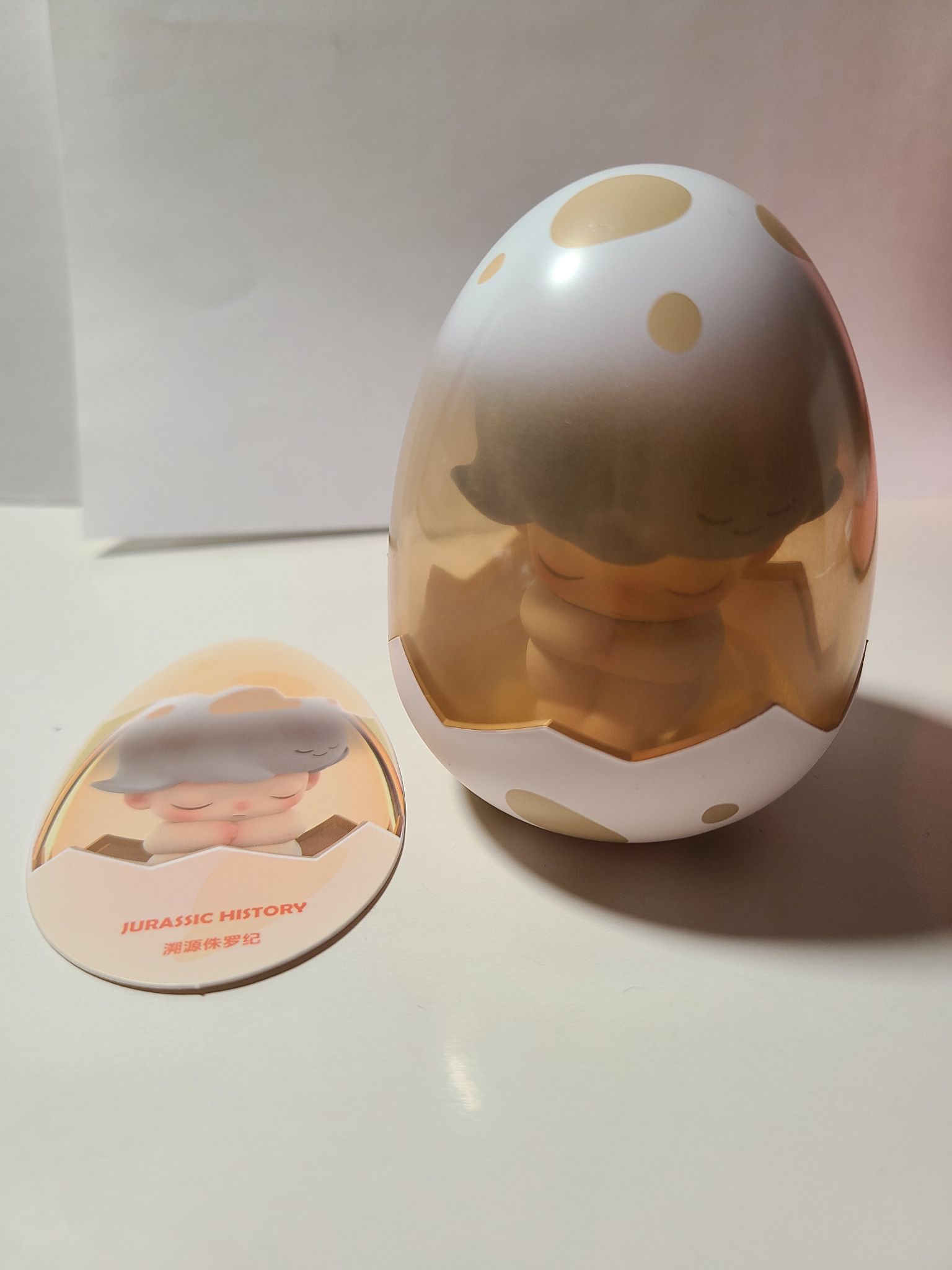 Jurassic History - Dimoo Jurassic World Series by POP MART - 4