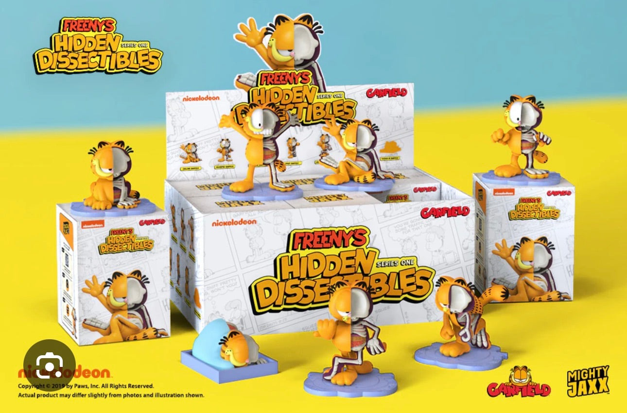 Garfield Freeny's Hidden Dissectibles Series One Single Blind Box - 2