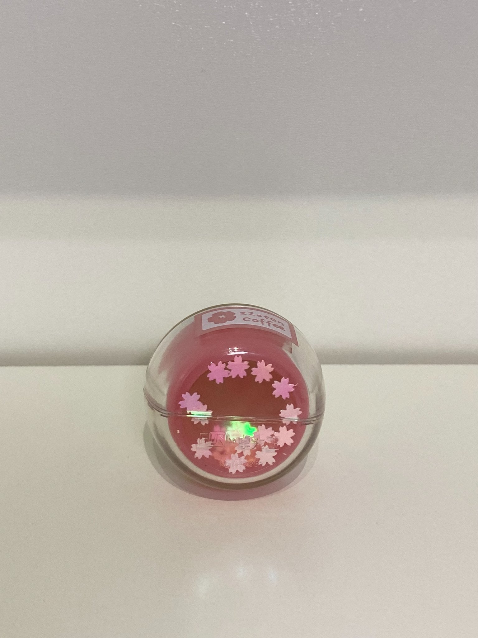 Molinta Cherry Blossom Cafe - Bunny Jam - 2