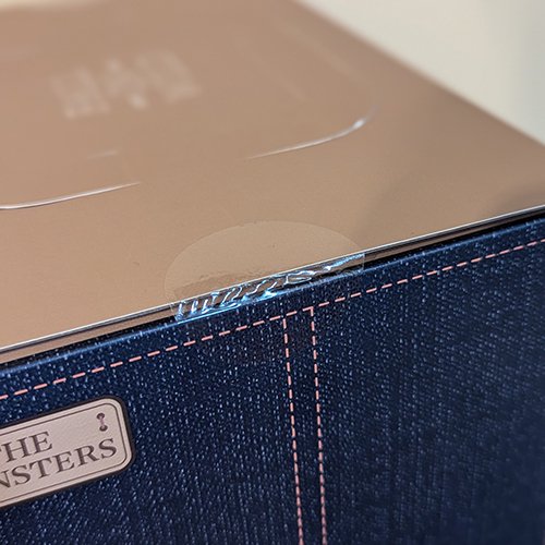 LABUBU THE MONSTERS FALL IN WILD SERIES - Vinyl Plush Doll by POP MART - 4