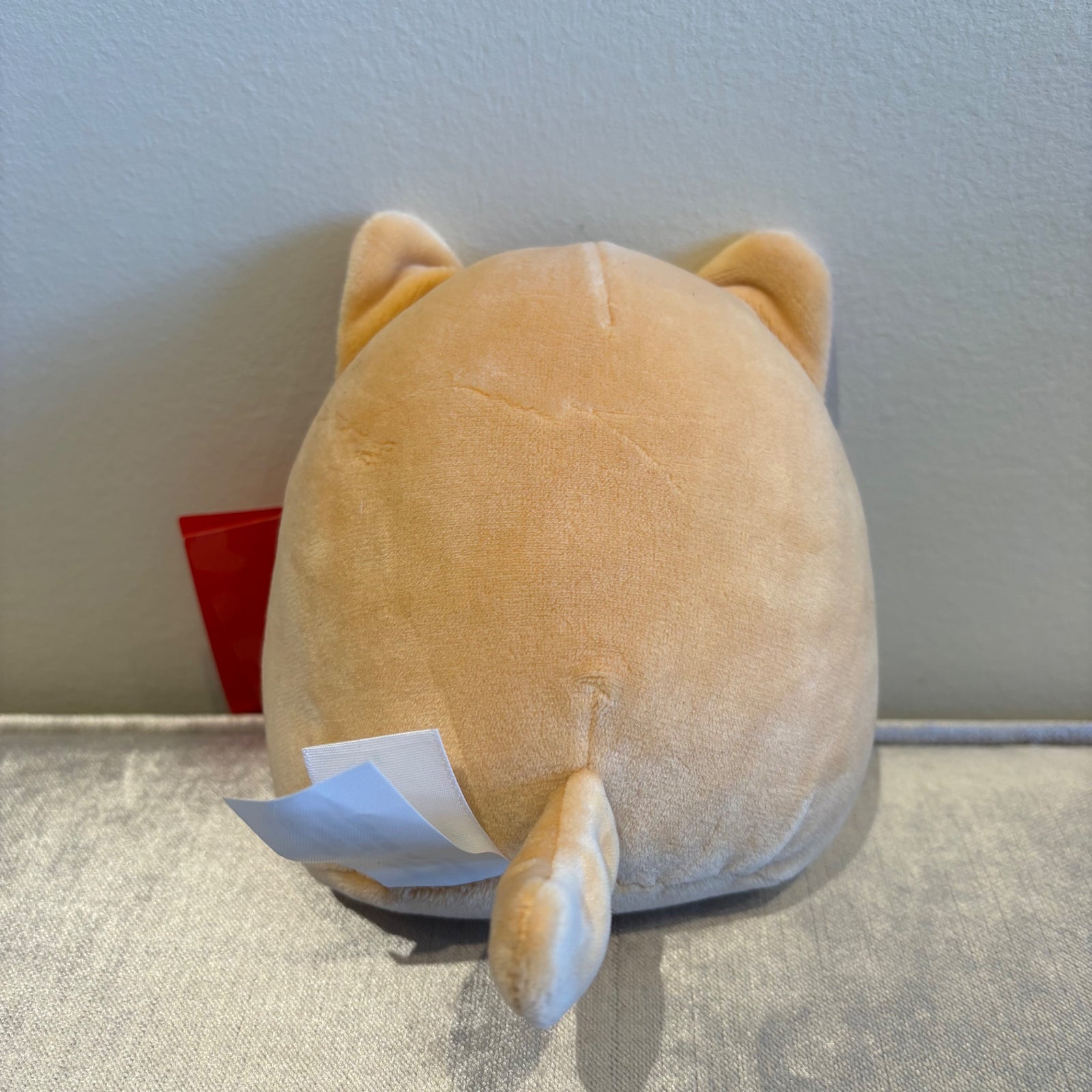 5” Nathan the Cat - Superstore Exclusive by Squishmallows - 2
