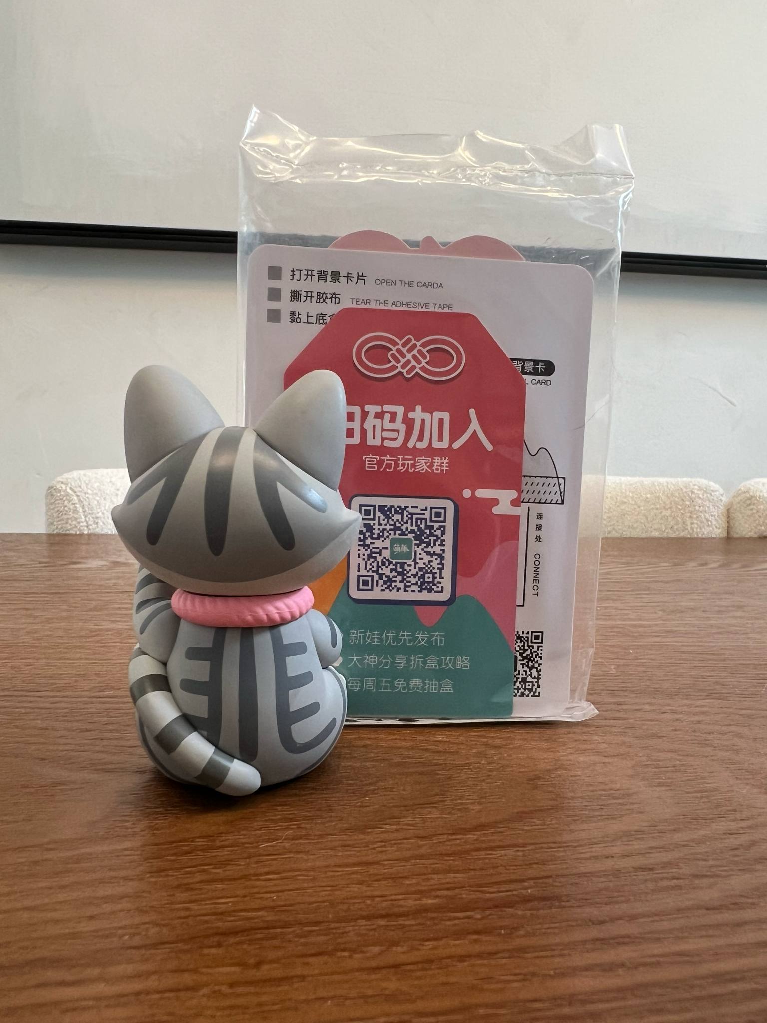 Grey Cassy - Moetch x CASSY Your Lucky Cat