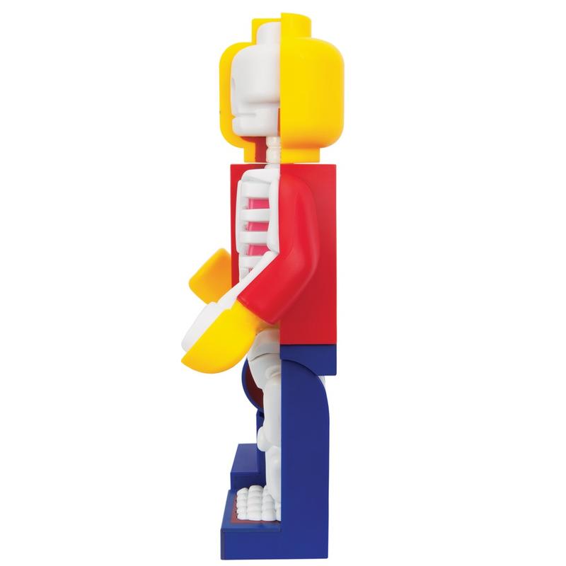 Bigger Micro Anatomic Junior Edition by Jason Freeny x Mighty Jaxx