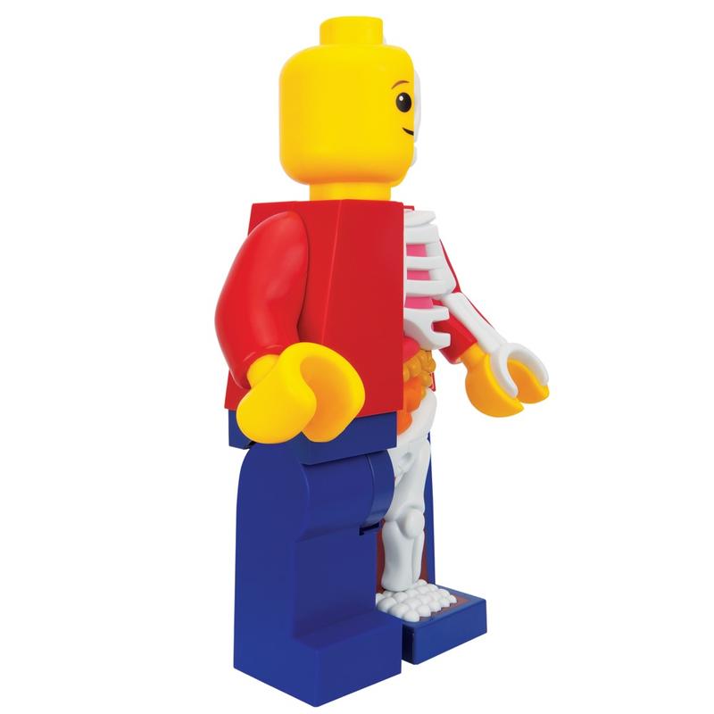 Bigger Micro Anatomic Junior Edition by Jason Freeny x Mighty Jaxx