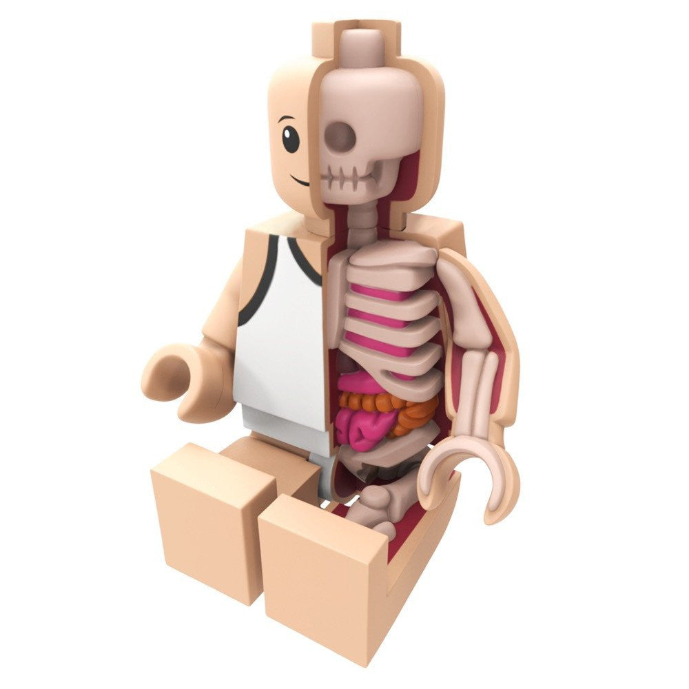 Bigger Micro Anatomic by Jason Freeny x Mighty Jaxx - Pre-order - Mindzai - 3