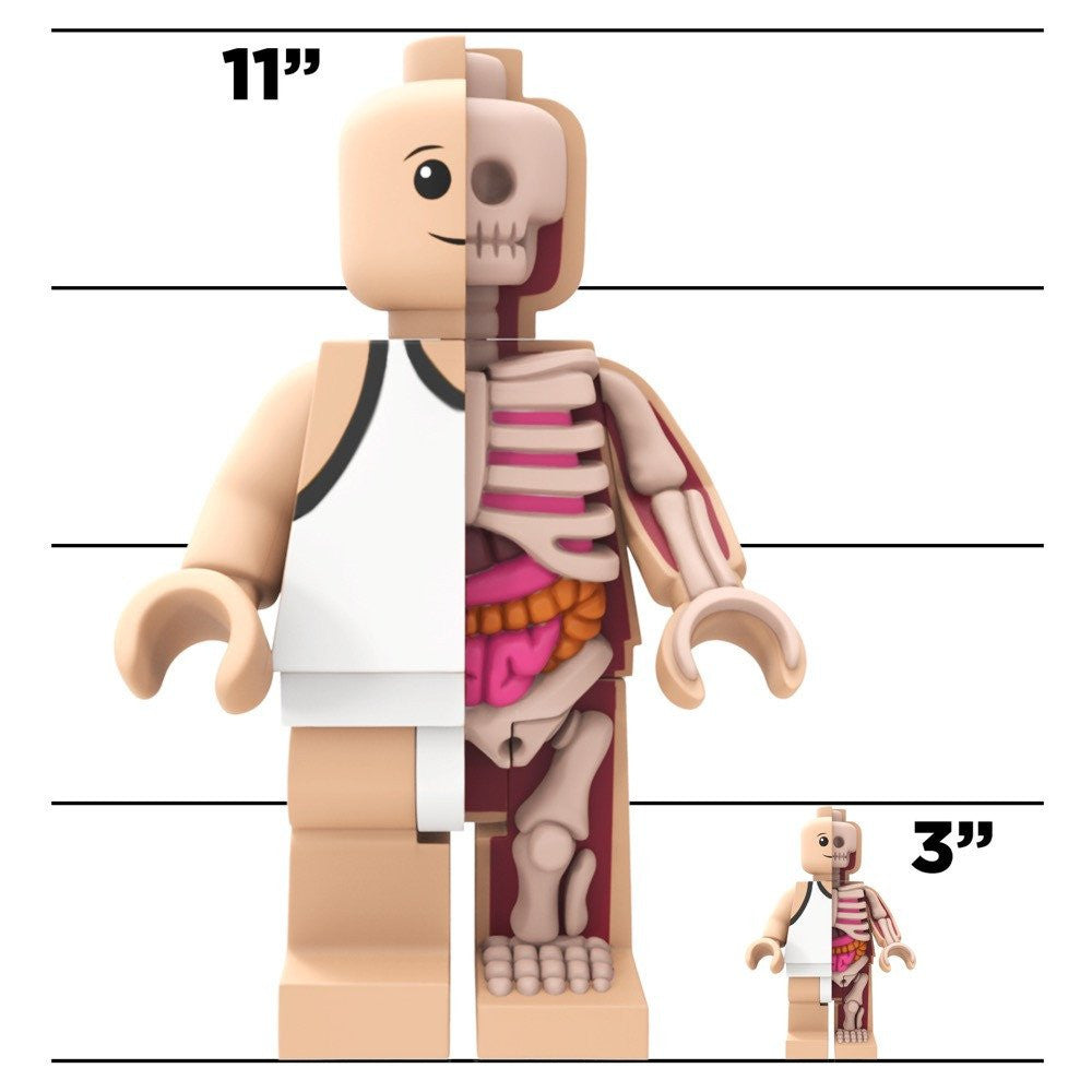 Bigger Micro Anatomic by Jason Freeny x Mighty Jaxx - Pre-order - Mindzai - 6