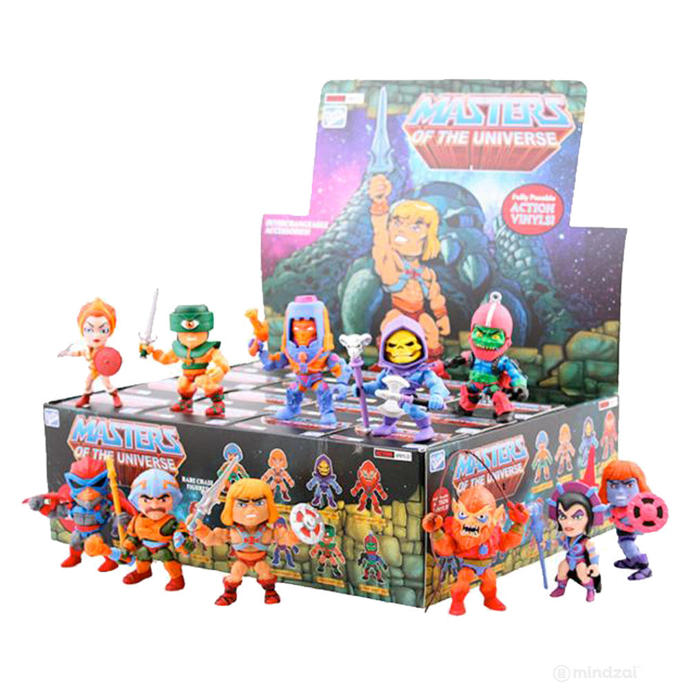 Masters of the Universe Action Vinyls Blind Box Series by The Loyal Subjects - Mindzai - 2