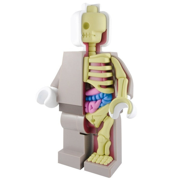 Bigger Micro Anatomic Original Red Edition by Mighty Jaxx x Jason Freeny - Pre-order - Mindzai - 2