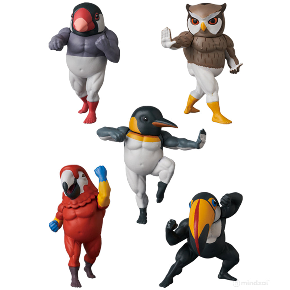 Muscle Birds Gachimuchidori Series 4 by Takio Chan x Medicom Toy