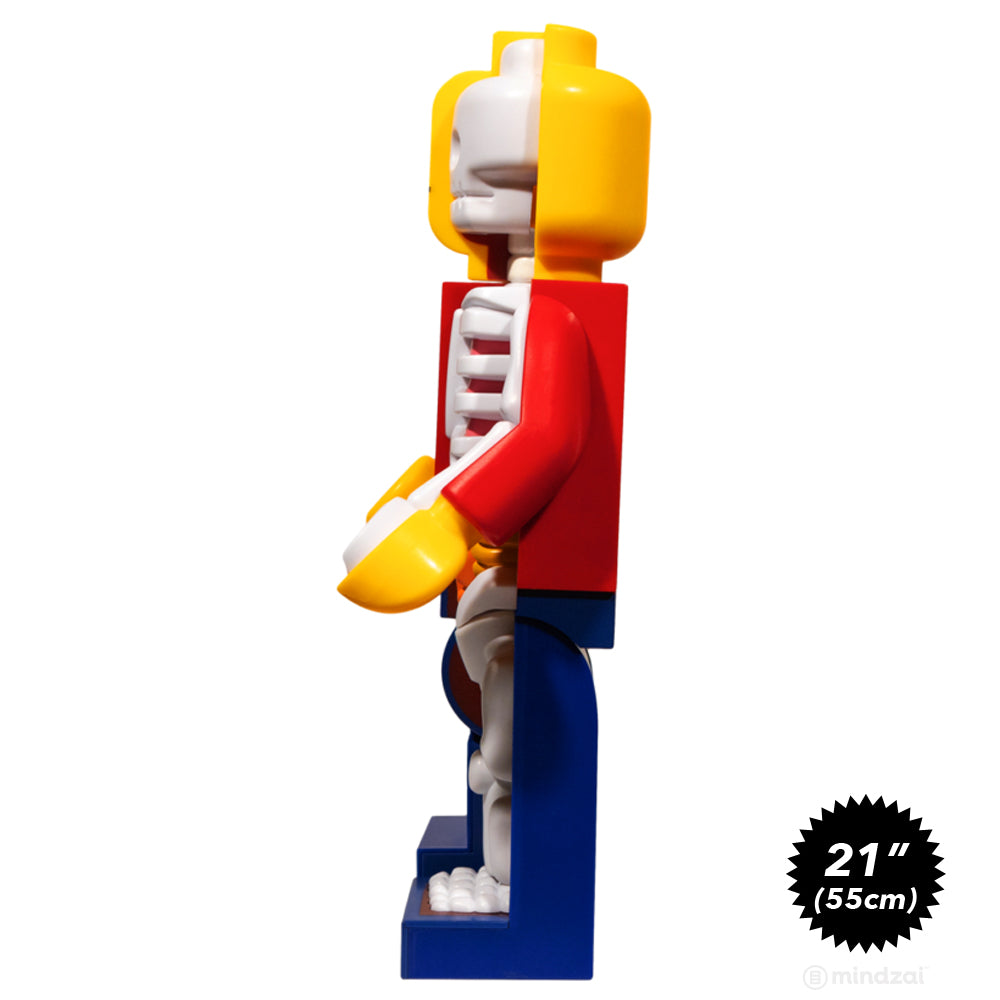 *Pre-order* Supersized Micro Anatomic (Junior) By Jason Freeny x Mighty Jaxx