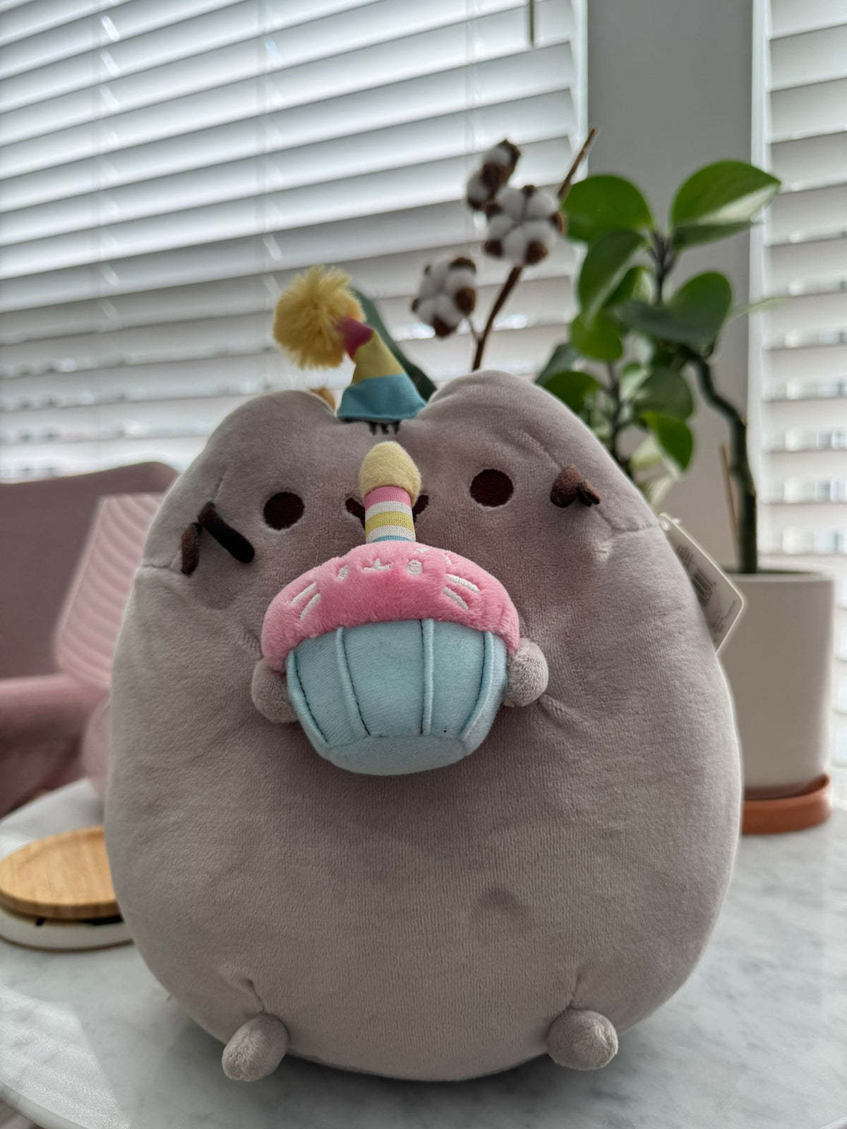 Pusheen Cupcake - 1