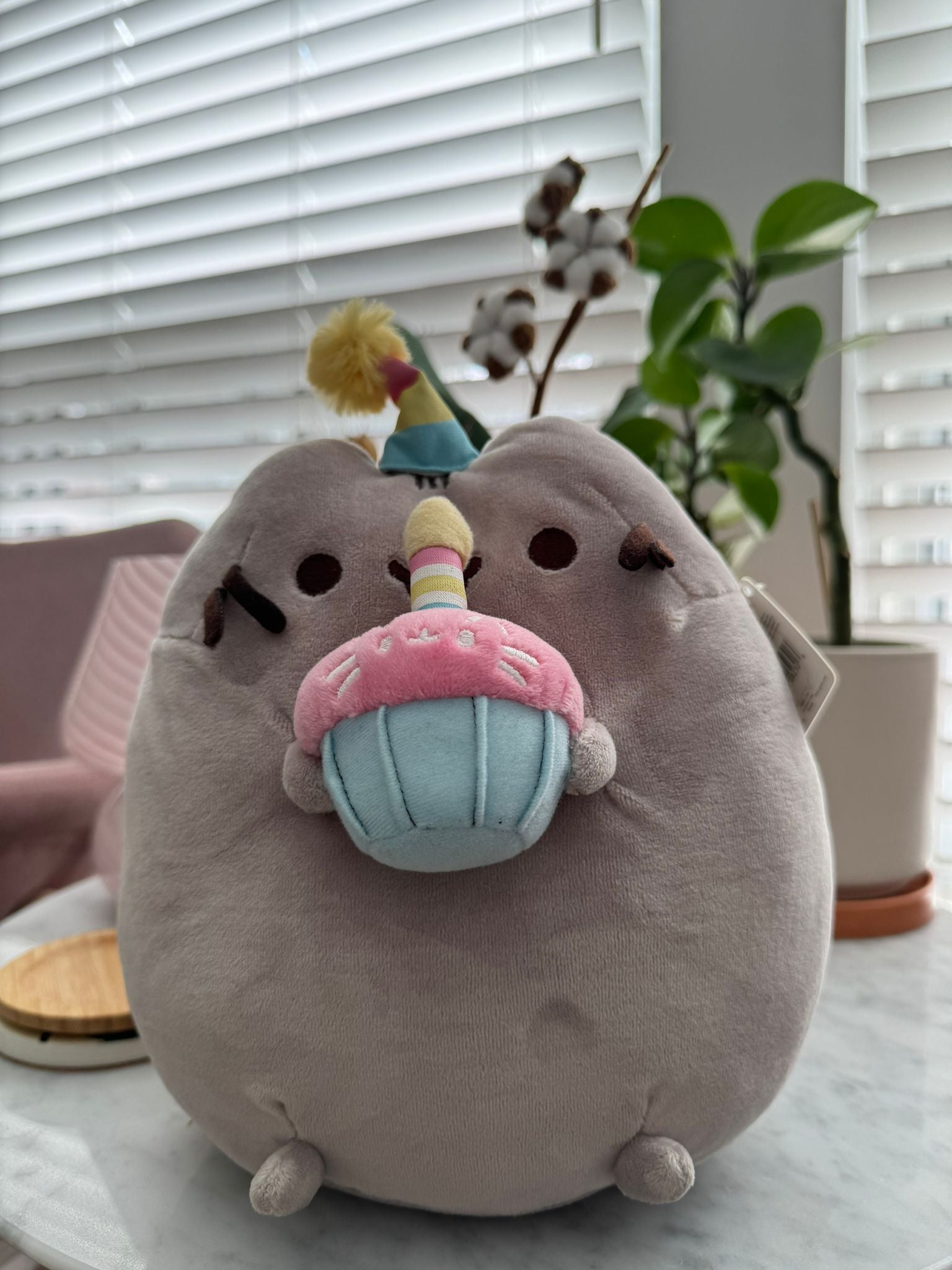 Pusheen Cupcake - 1