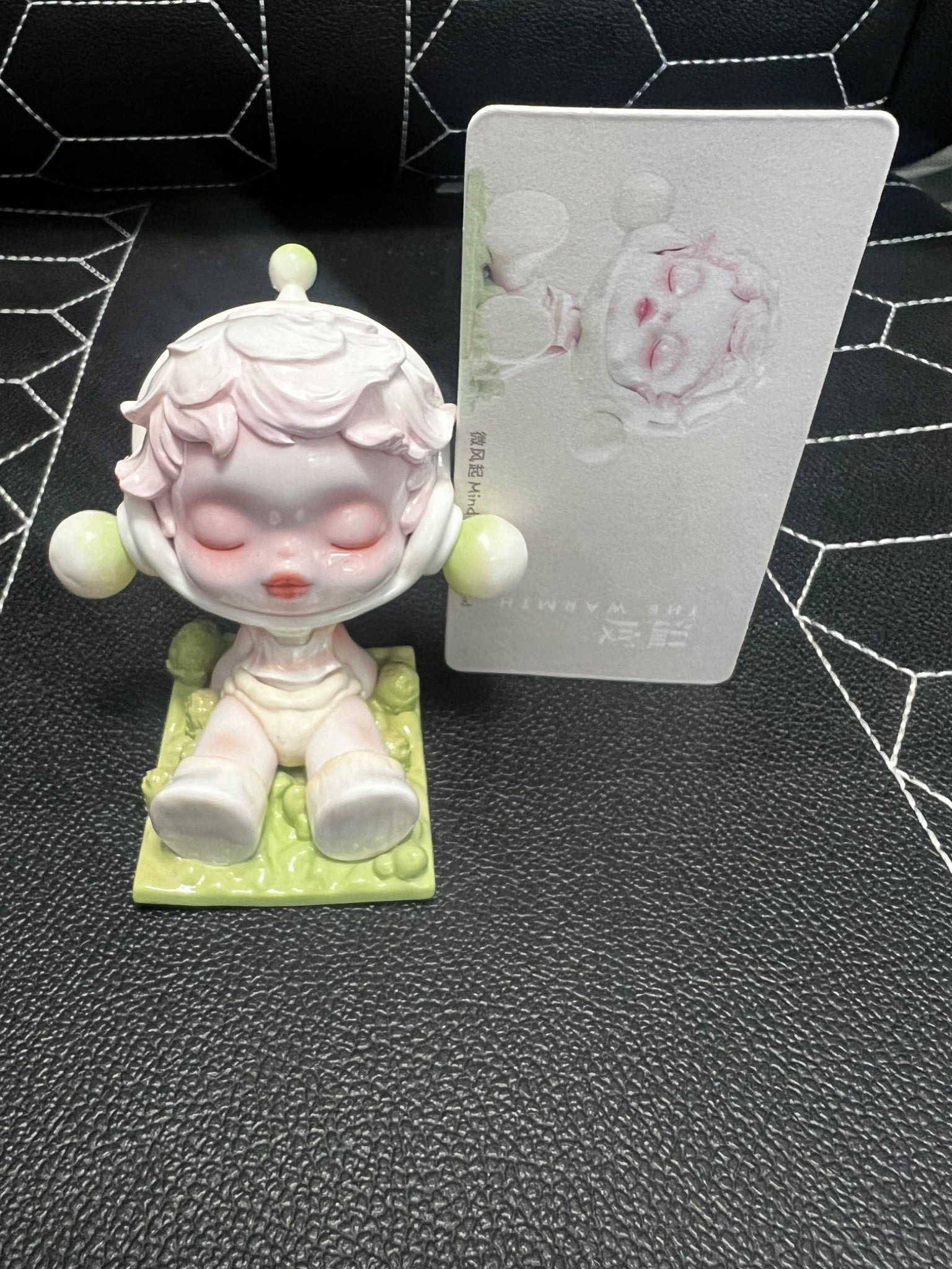 Mind with the Wind - Skullpanda The Warmth - Pop Mart - 1