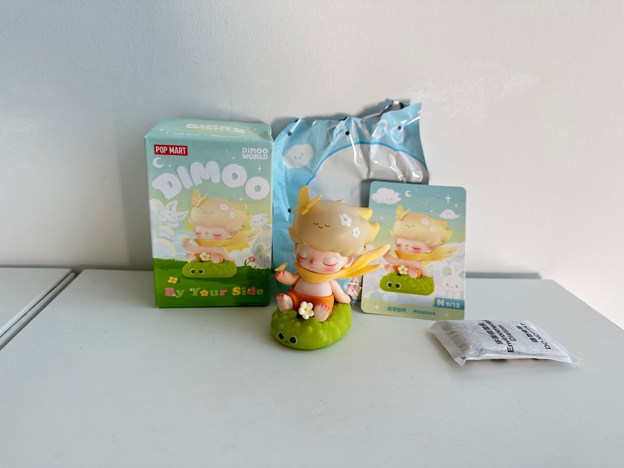 PLEASURE - DIMOO By Your Side Series Figures by POP MART - Mindzai