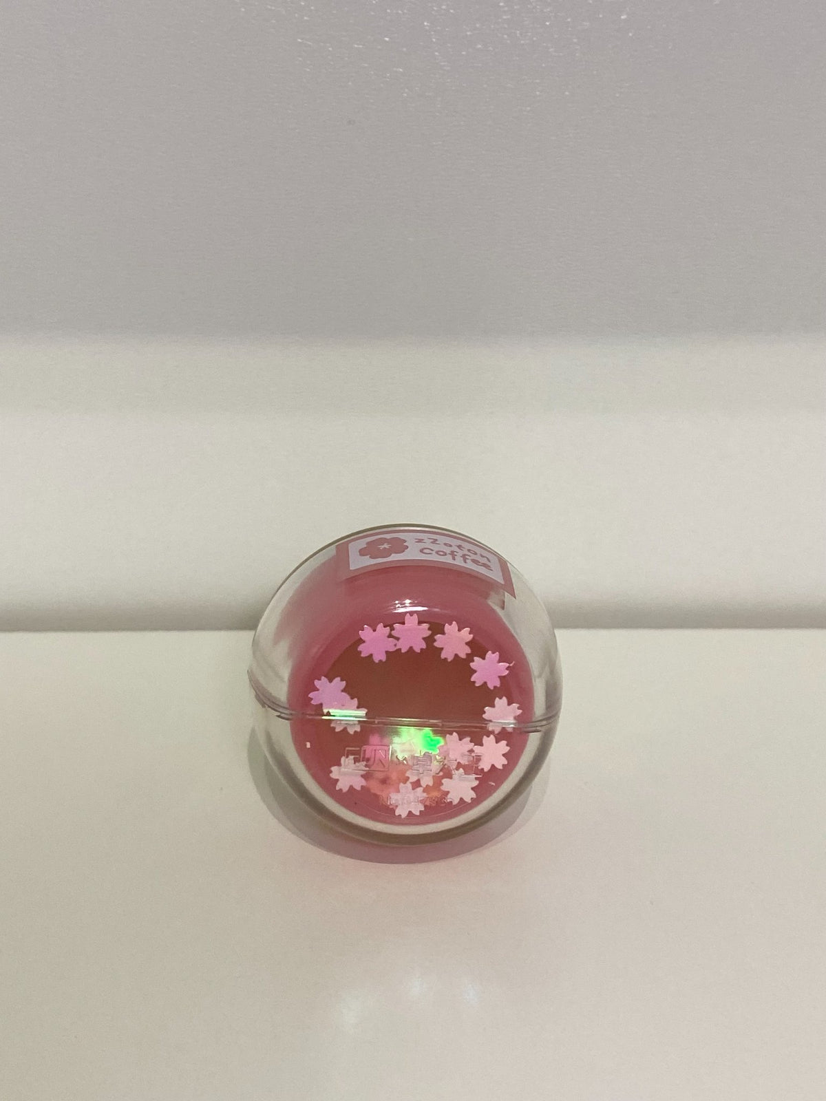 Molinta Cherry Blossom Cafe - Bunny Jam - 2