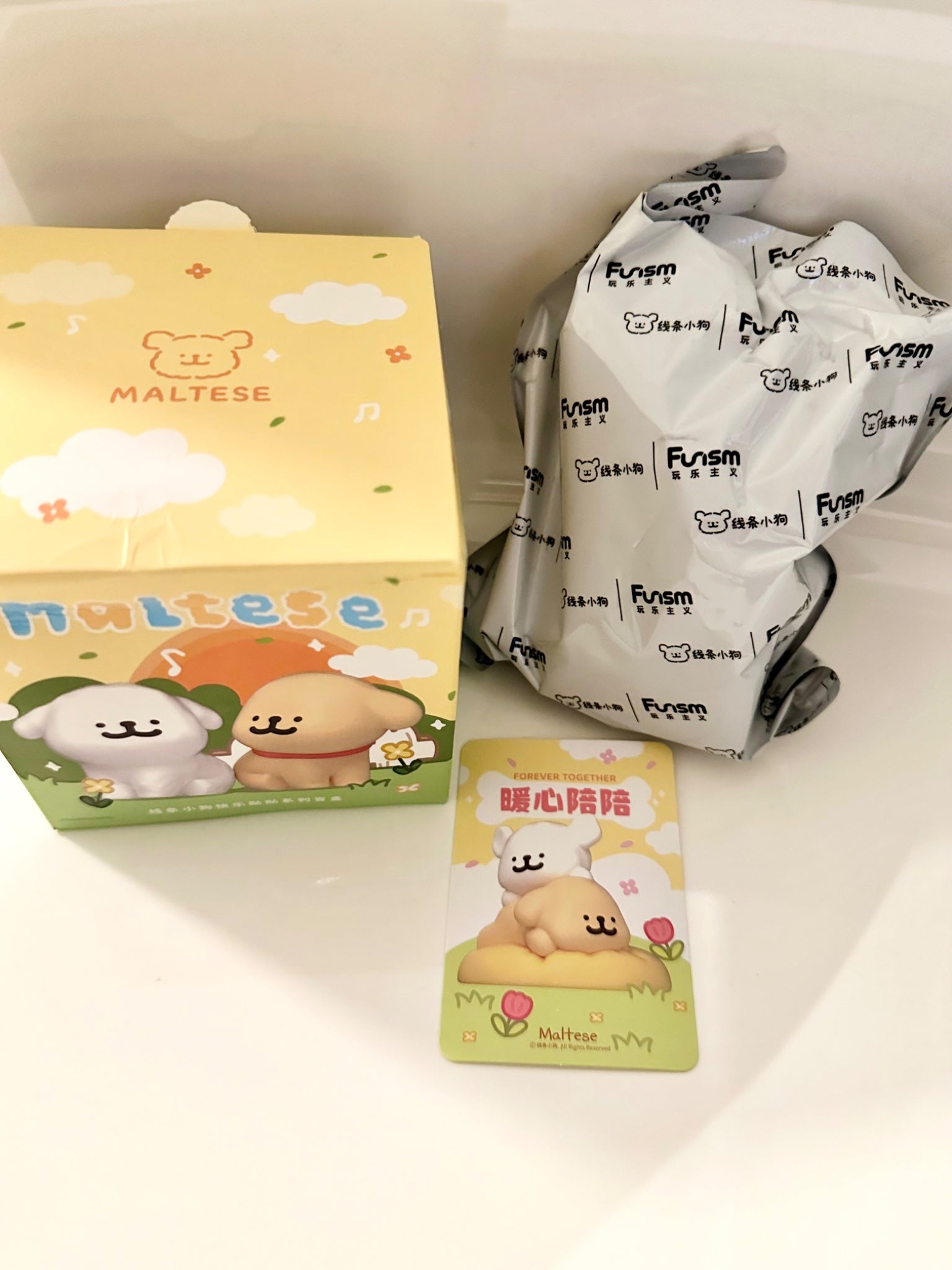 Forever Together - Maltese - Funism - 1