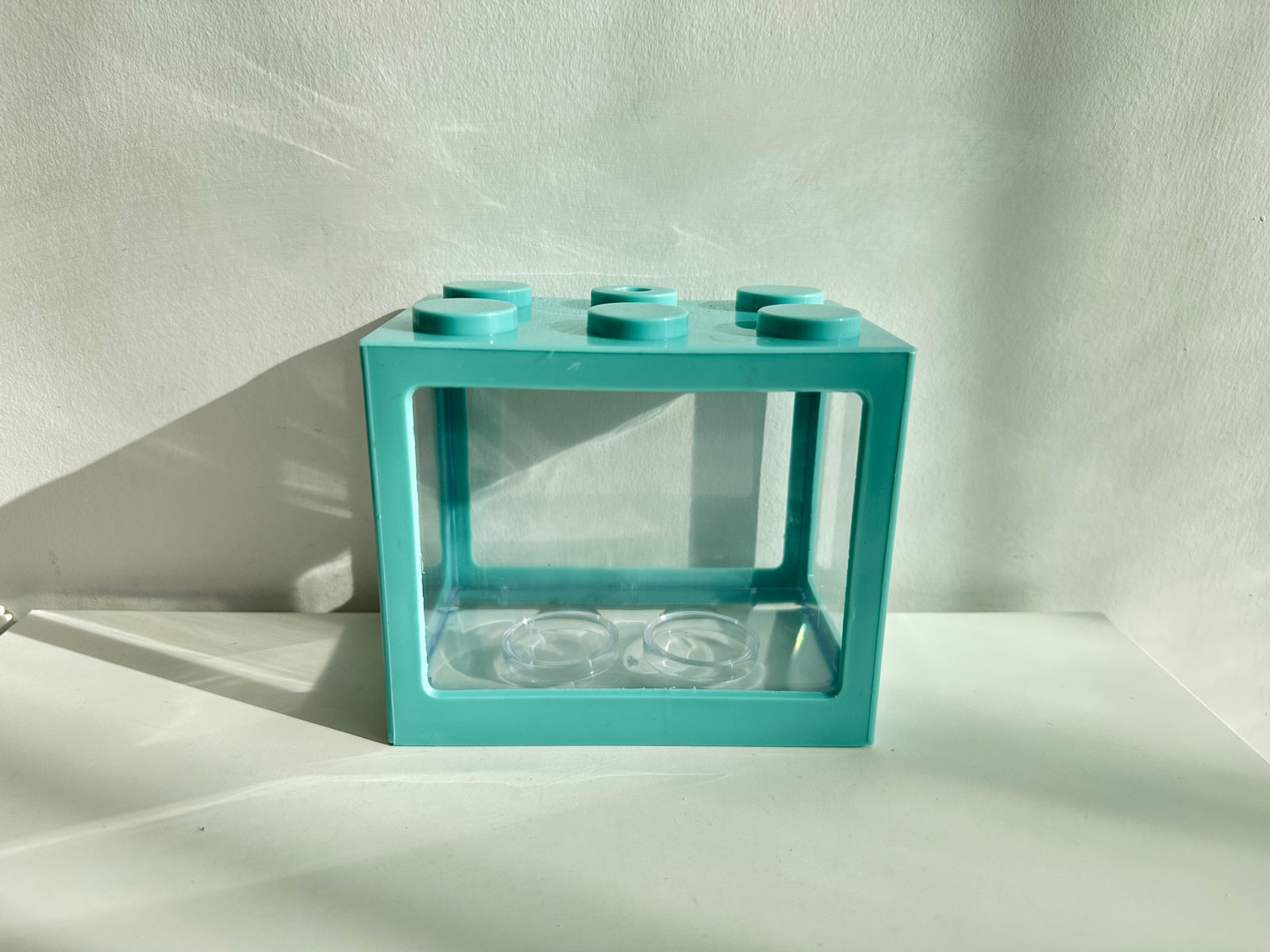 Green Display Case  - 1