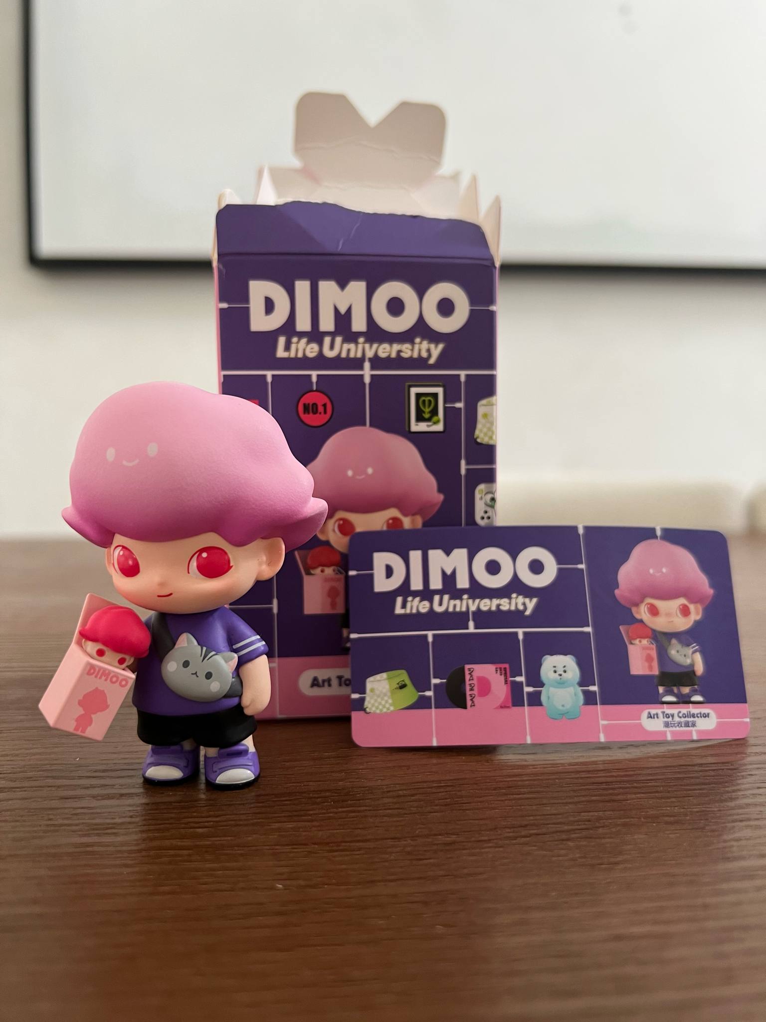 Art Toy Collector POP MART DIMOO Life University