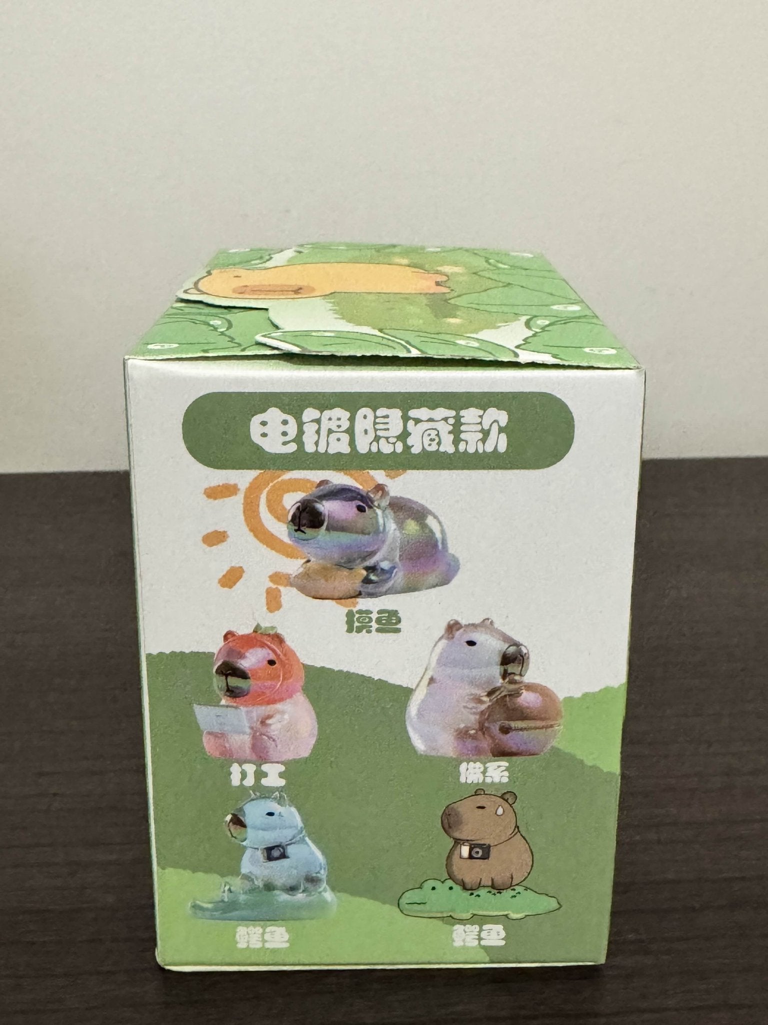 Kapibara the Capybara Blind Box Series - Mindzai Toy Shop