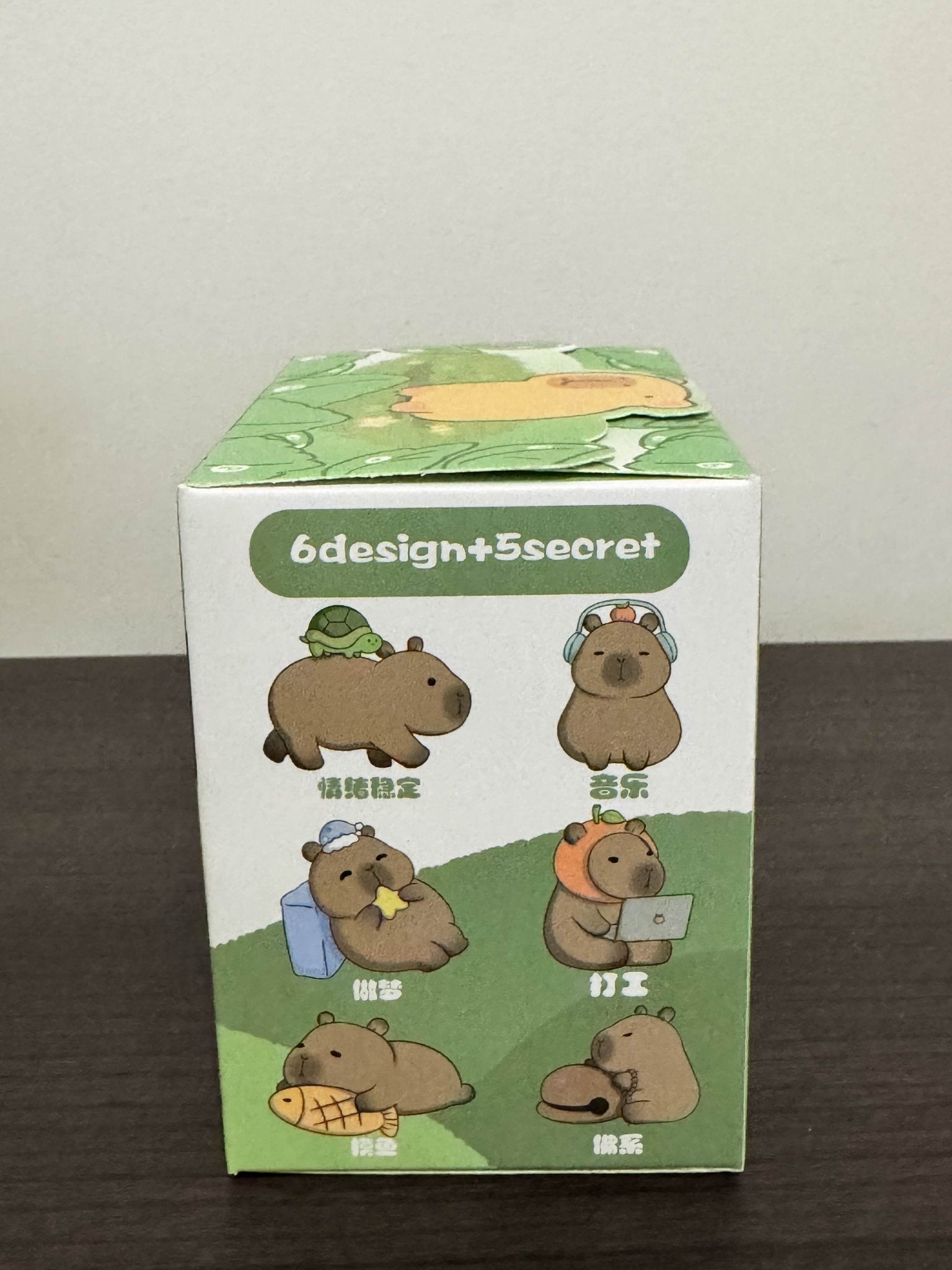 Kapibara the Capybara Blind Box Series - Mindzai Toy Shop