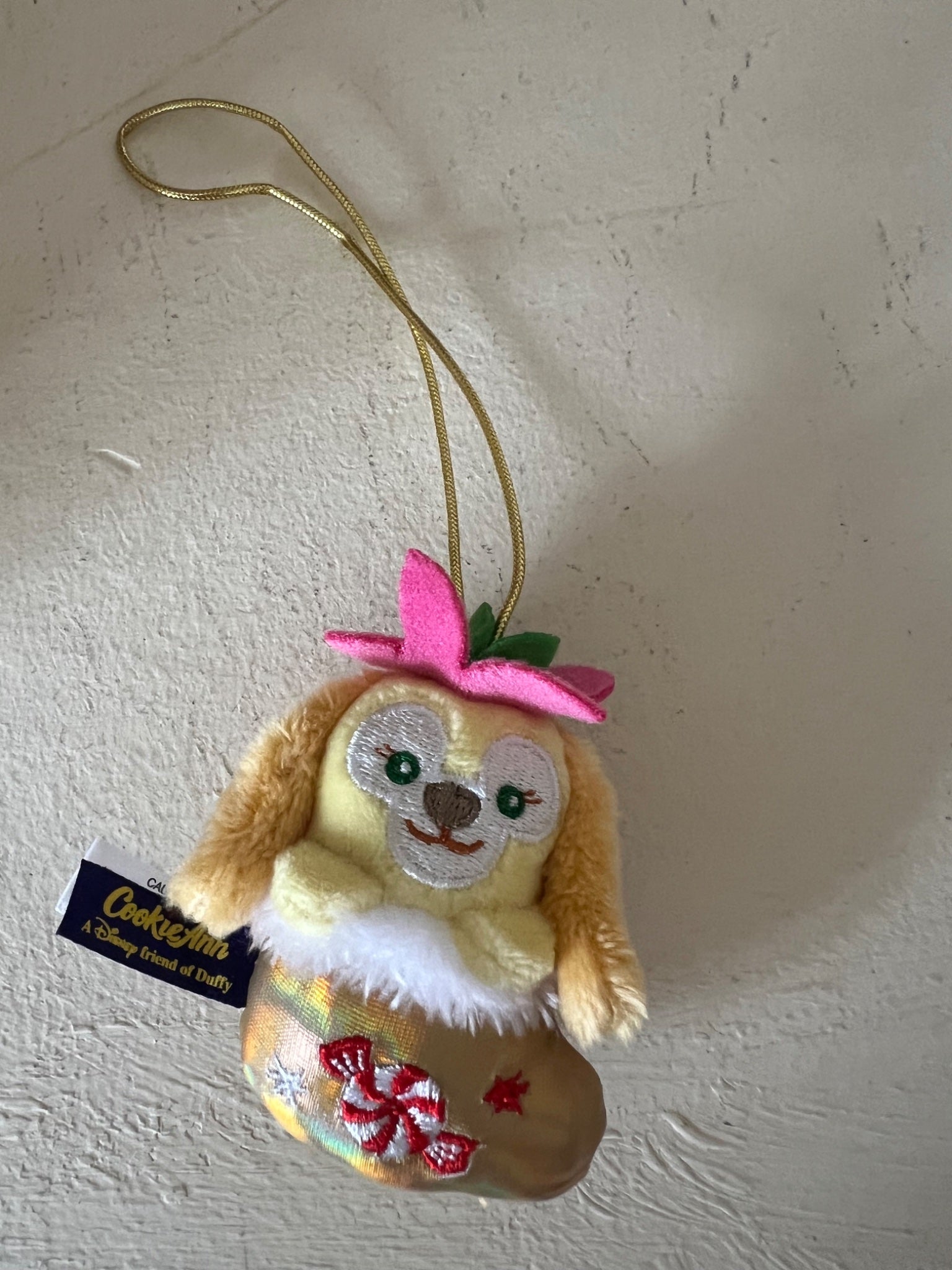 652eb54139e4ab4dc3c1b6b7_img-2789_1778436495470.jpeg