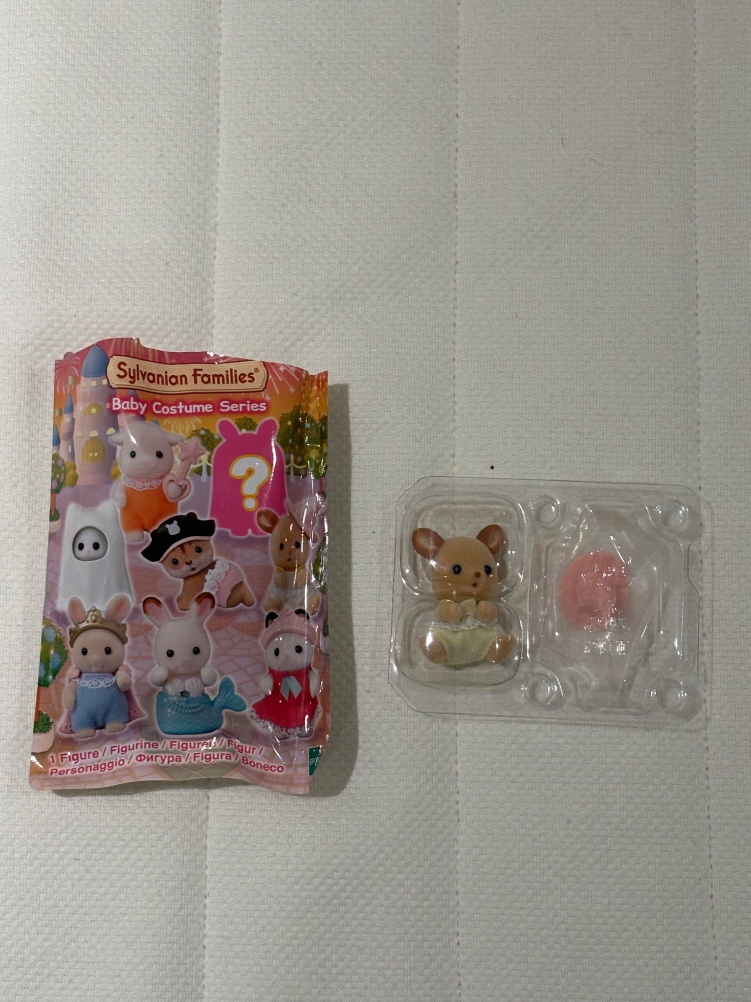 652eb54139e4ab4dc3c1b6b7_img-7693_1783783503066.jpeg