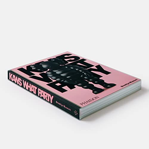 KAWS: WHAT PARTY (Black on Pink edition) - Mindzai