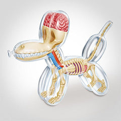 Balloon Dog Anatomy by Jason Freeny - Mindzai