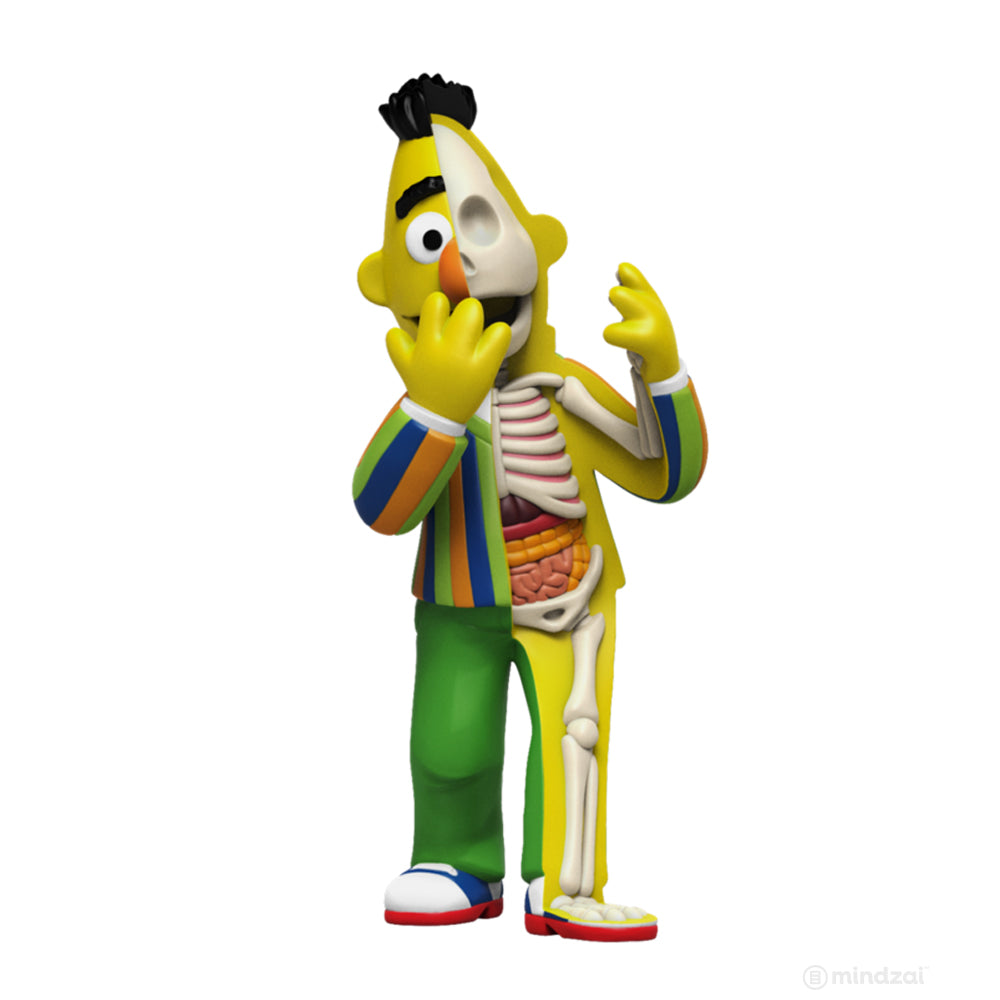 XXRAY Plus Bert and Ernie Sesame Street Art Toy by Jason Freeny x Mighty Jaxx