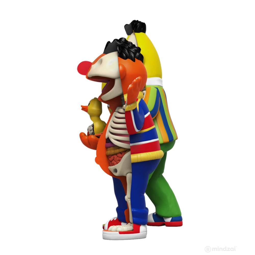 XXRAY Plus Bert and Ernie Sesame Street Art Toy by Jason Freeny x Mighty Jaxx