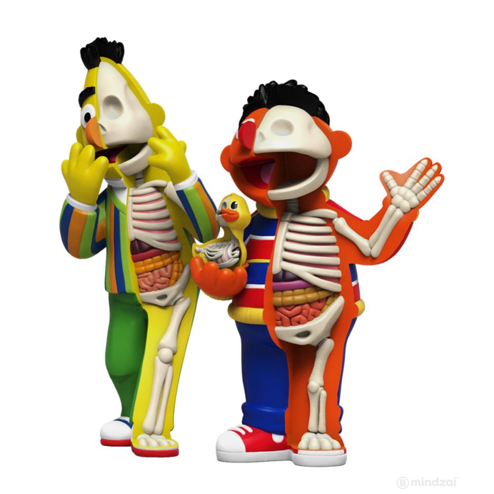 XXRAY Plus Bert and Ernie Sesame Street Art Toy by Jason Freeny x