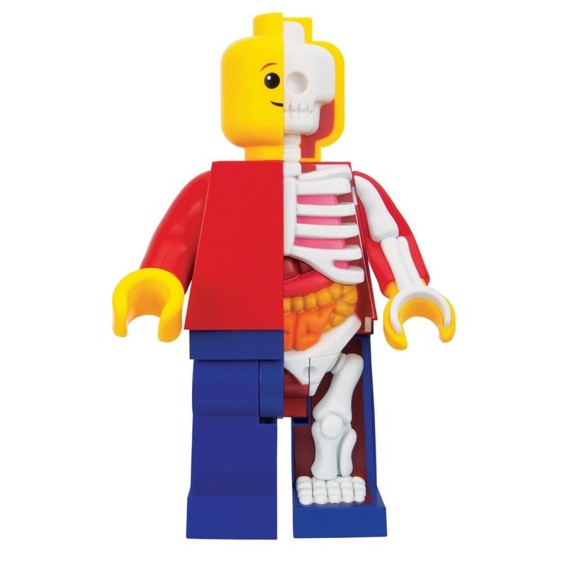 Bigger Micro Anatomic Junior Edition by Jason Freeny x Mighty Jaxx