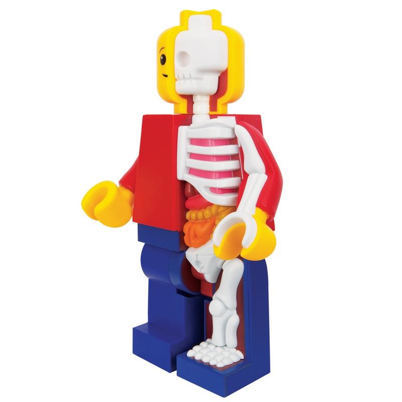 Bigger Micro Anatomic Junior Edition by Jason Freeny x Mighty Jaxx