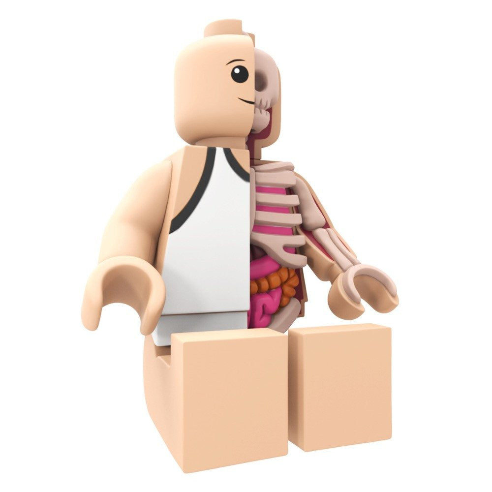 Bigger Micro Anatomic by Jason Freeny x Mighty Jaxx - Pre-order - Mindzai  - 4