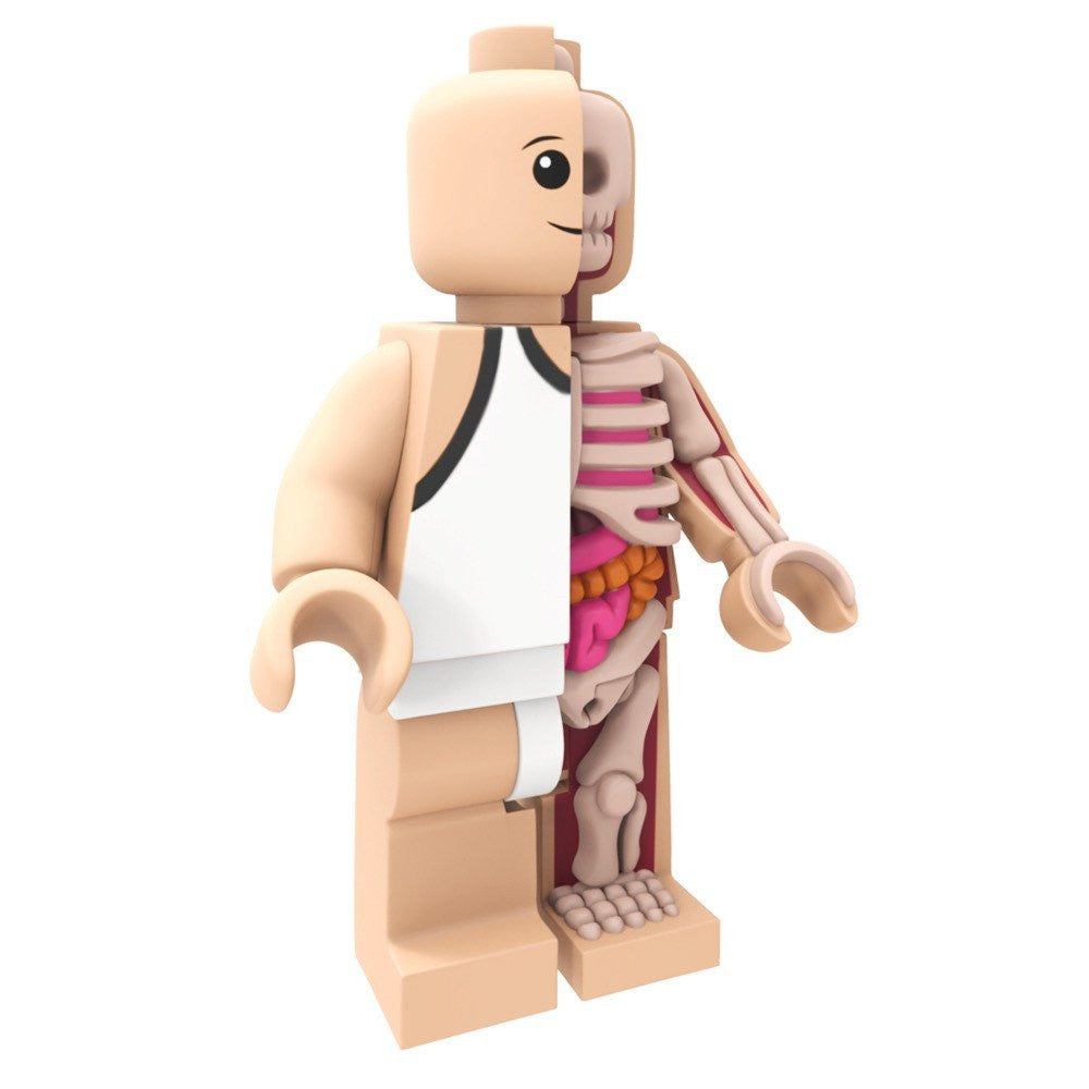 Bigger Micro Anatomic by Jason Freeny x Mighty Jaxx - Pre-order - Mindzai  - 5