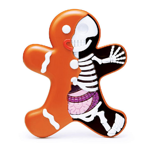 Dissected Gingerbread Man by Jason Freeny - Mindzai  - 1