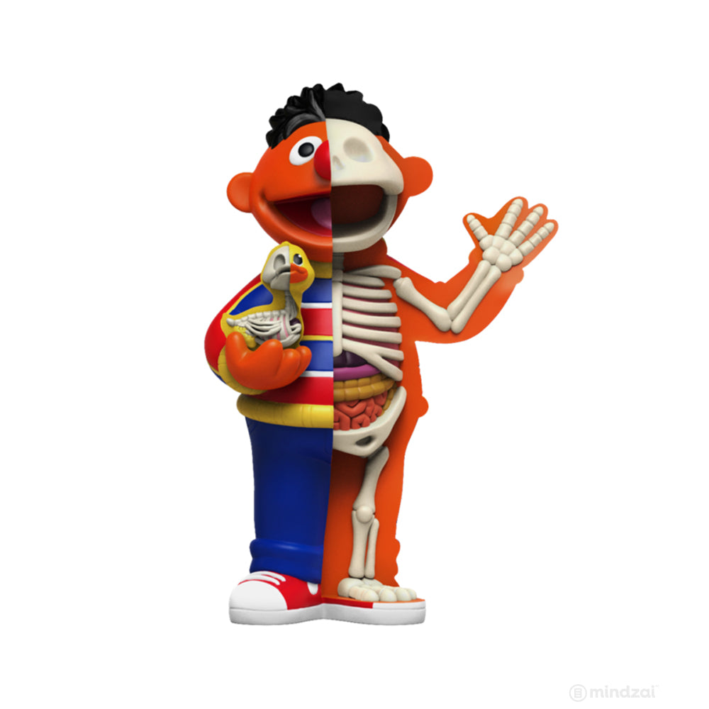 XXRAY Plus Bert and Ernie Sesame Street Art Toy by Jason Freeny x Mighty Jaxx