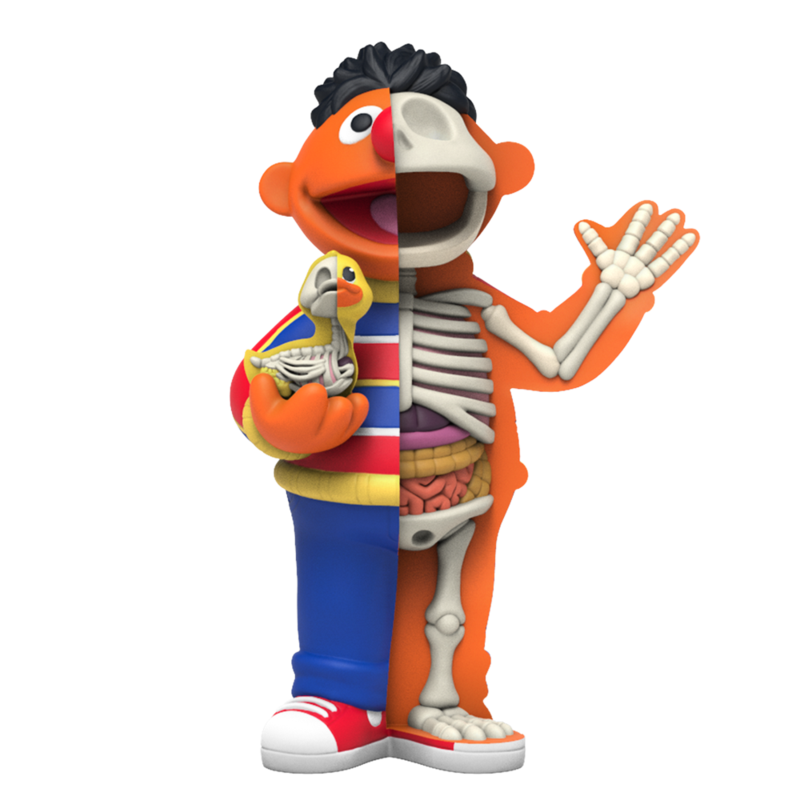 Hidden Dissectables Sesame Street Blind Box Series by Jason Freeny x Mighty Jaxx