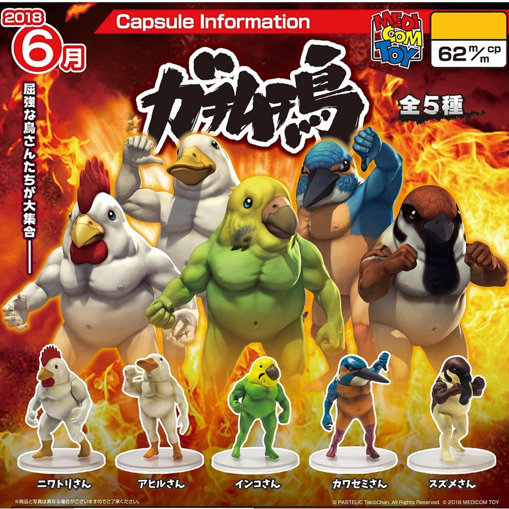 Muscle Birds Gachimuchidori by Takio Chan x Medicom Toy