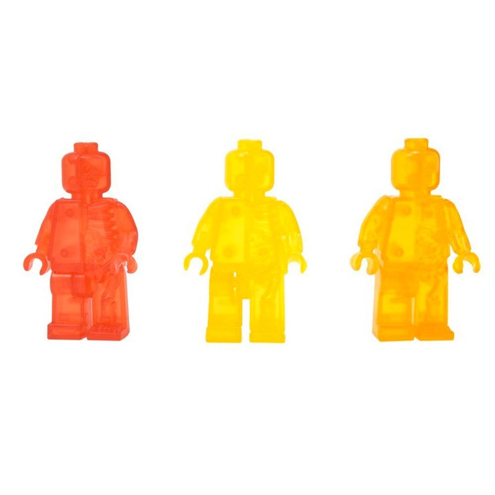 Rainbow Micro Anatomic Summer Edition Set by Jason Freeny x Mighty Jaxx - Mindzai  - 3