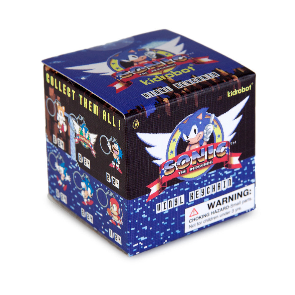 Sonic The Hedgehog Keychain Series Blind Box by Kidrobot - Mindzai  - 2