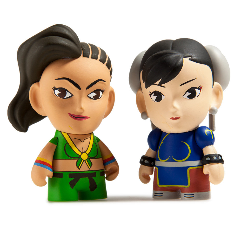 Street Fighter V Blind Box Mini Series By Kidrobot x Capcom - Mindzai  - 4