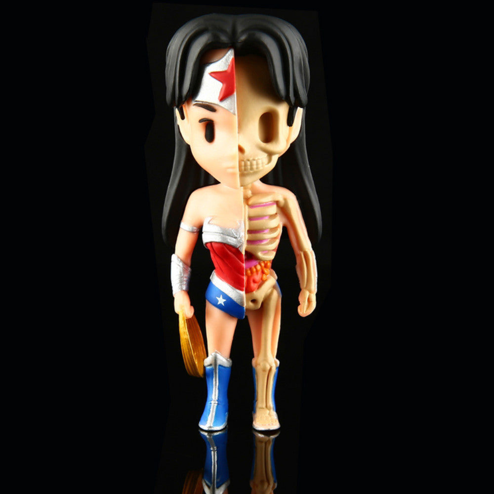 XXRay Wonder Woman by Jason Freeny x Mighty Jaxx - Mindzai  - 2