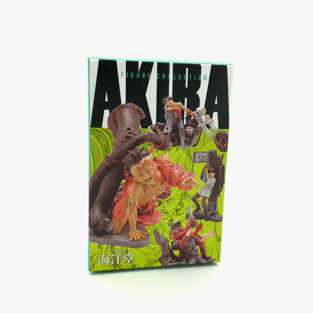 Akira MiniQ Blind Box Part 2 by Union Creative