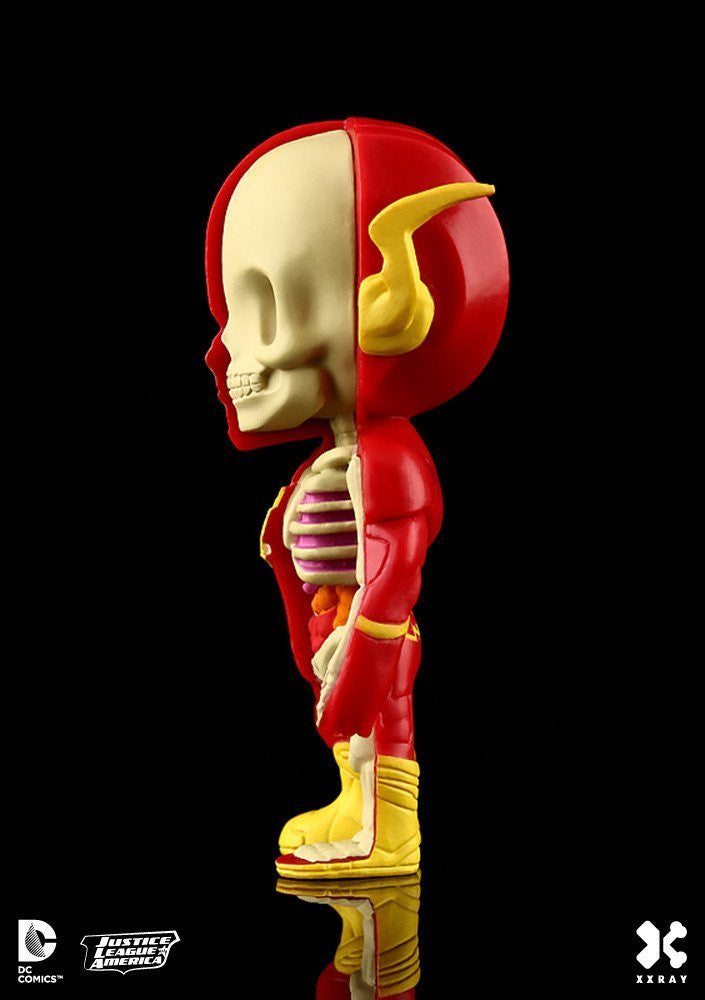 XXRay Flash by Jason Freeny x Mighty Jaxx - Mindzai  - 4