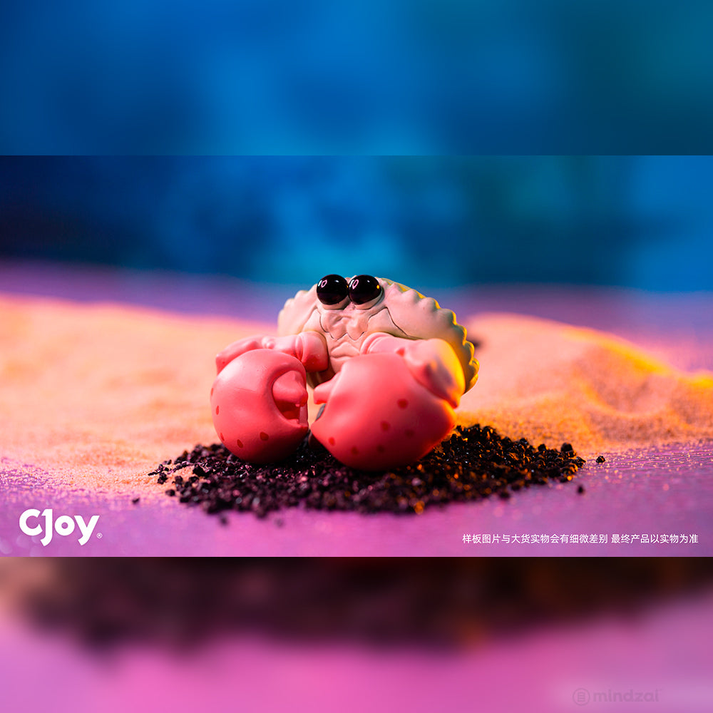 Bubbles Aquatic World Series 1 Blind Box by CJOY