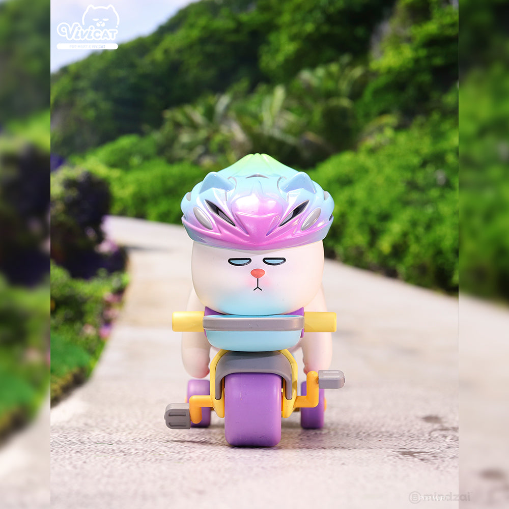 Vivicat Helmet Blind Box Series by POP MART