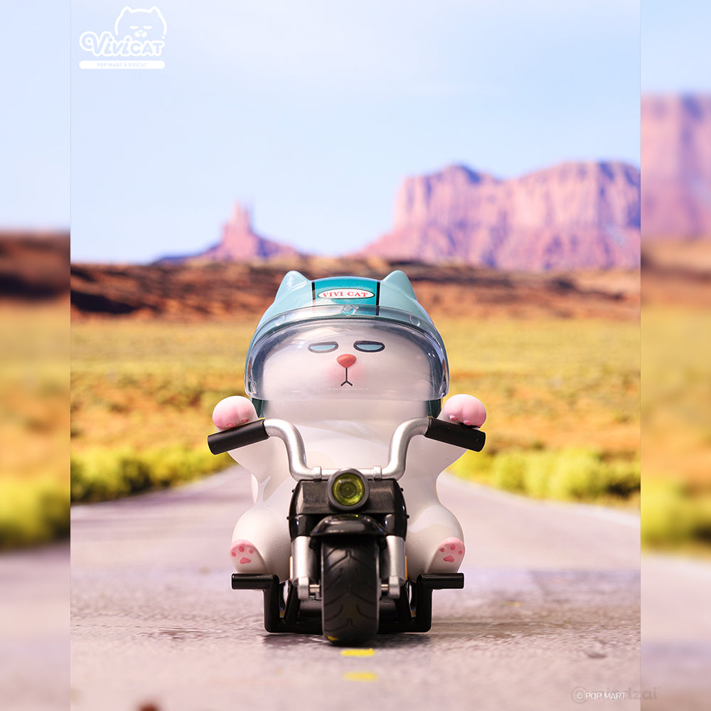 Vivicat Helmet Blind Box Series by POP MART