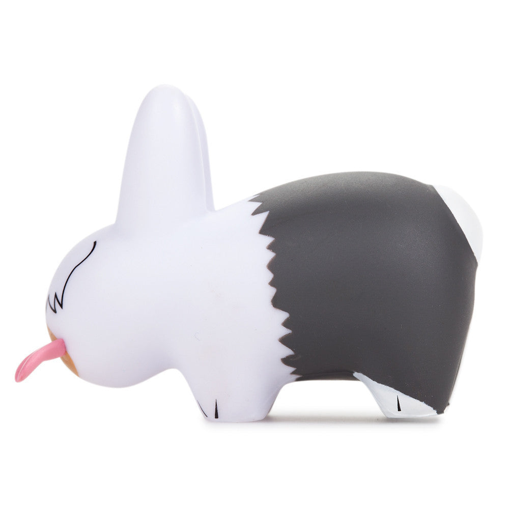 Kibbles ‘n Labbits Mini Blind Box Series by Kidrobot - Mindzai  - 17