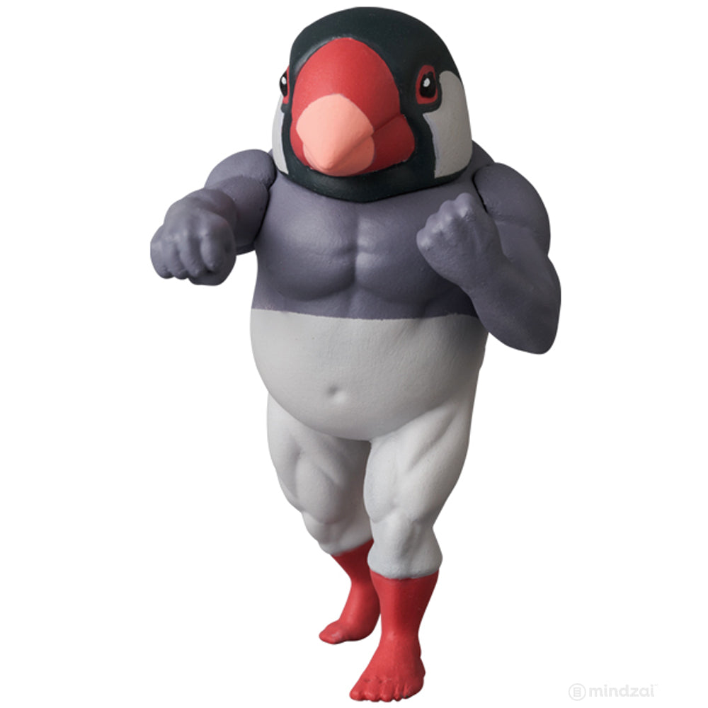 Muscle Birds Gachimuchidori Series 4 by Takio Chan x Medicom Toy